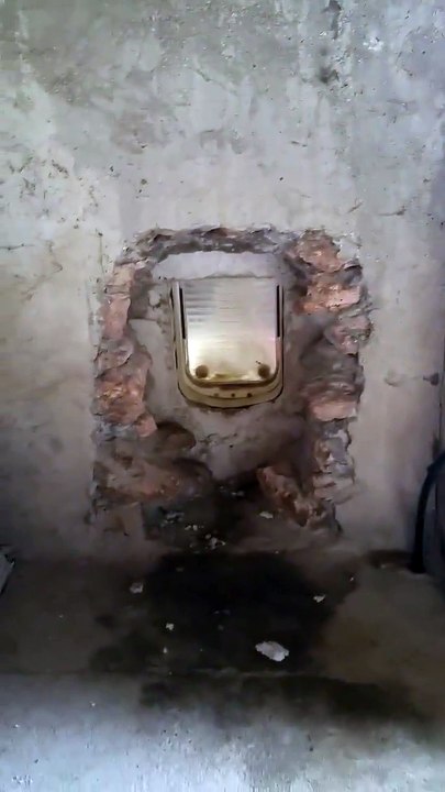 Passage de la chatière