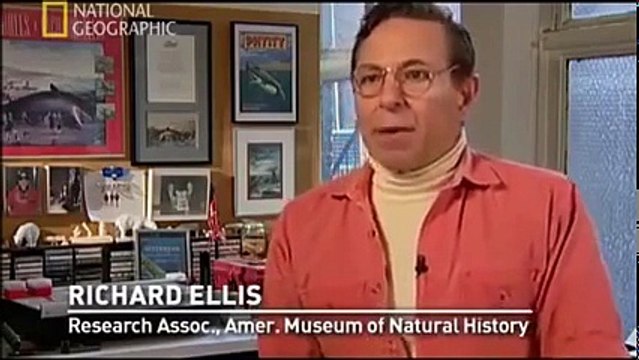 Su Canavarları Efsaneleri - Türkçe Dublaj Belgesel Belgesel Günlüğü