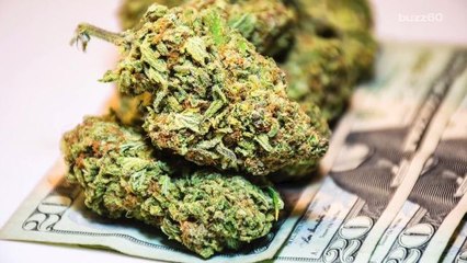 Woman Calls Cops to Complain About 'Outrageous' Weed Price Hike