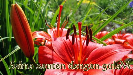 Andy Tielman Kole kole-doxWf085c4M-HD