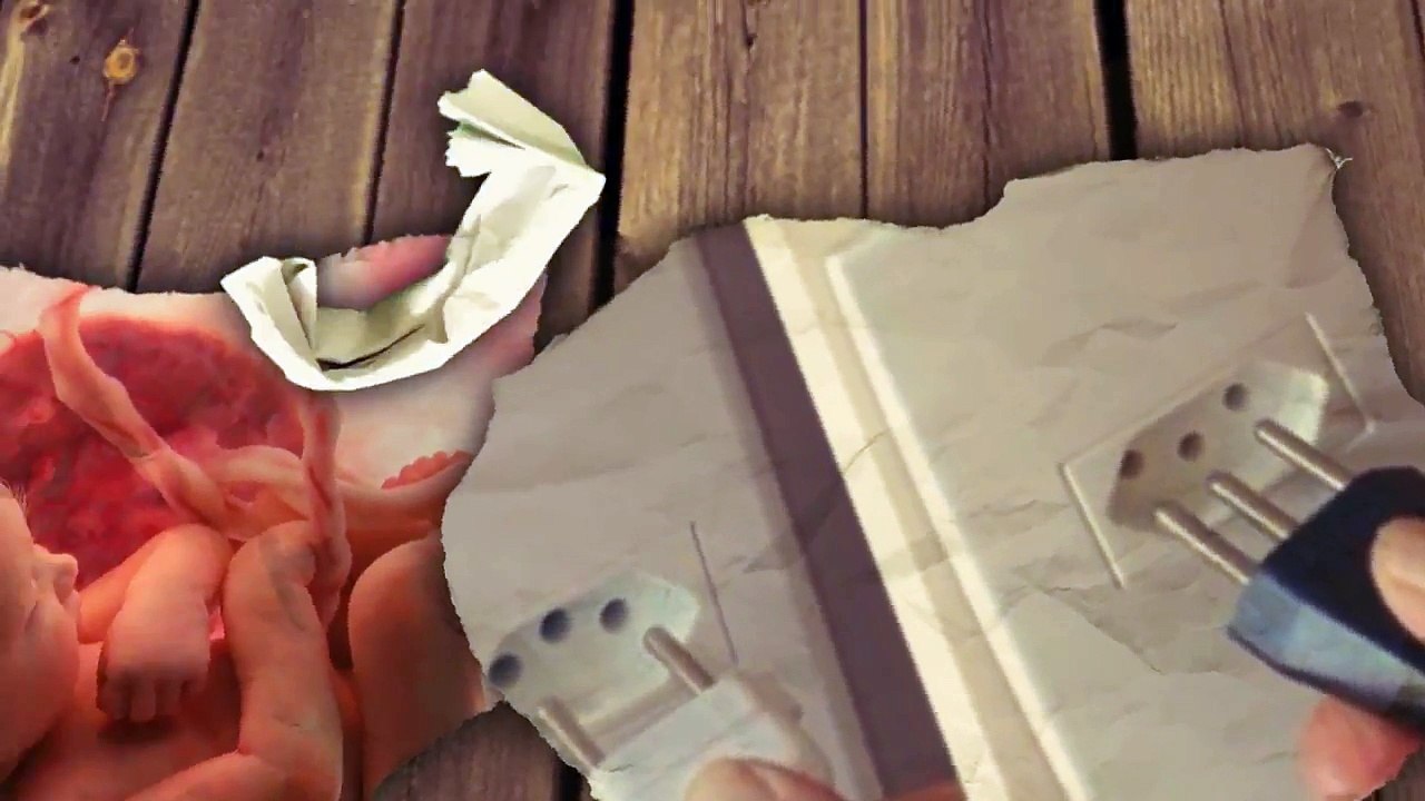 5 Coisas que existem e você não sabia o motivo 2