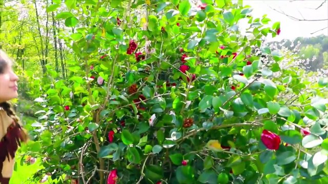 Человек-паук и розовый замороженные elsa против вампиров! Укусил вампир! Супергерои в реальной жизни удовольствие