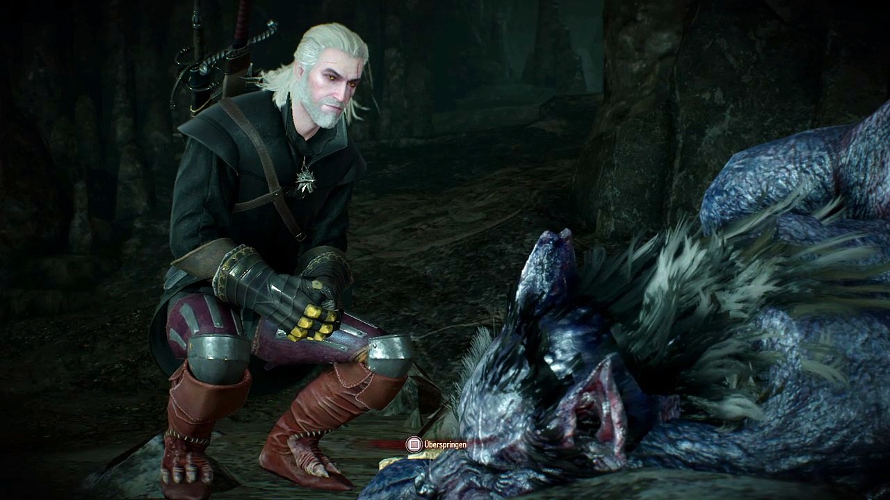 The Witcher 3 Klugscheisser