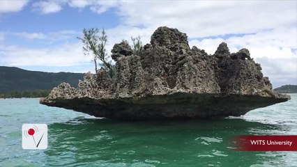 A Lost Continent Has Been Discovered in the Indian Ocean