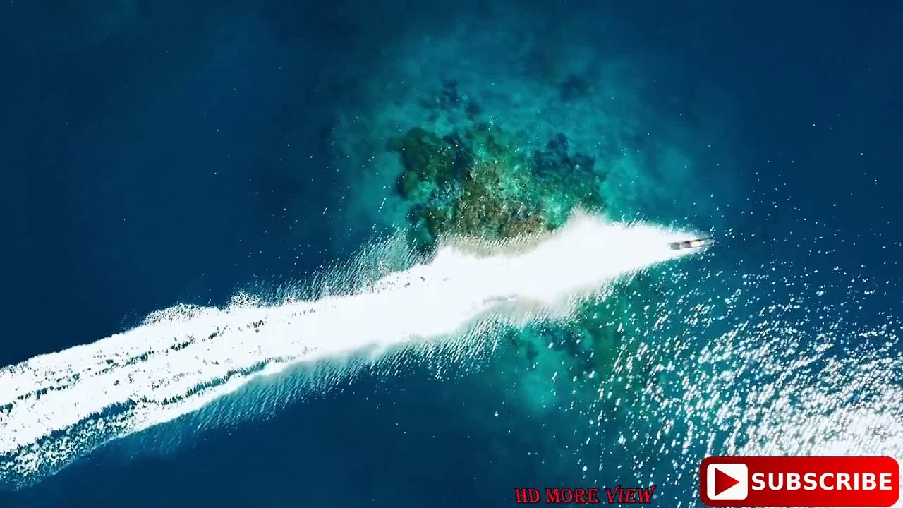 The most Beautiful And Crazy Video! 4k Ultra ||  HD