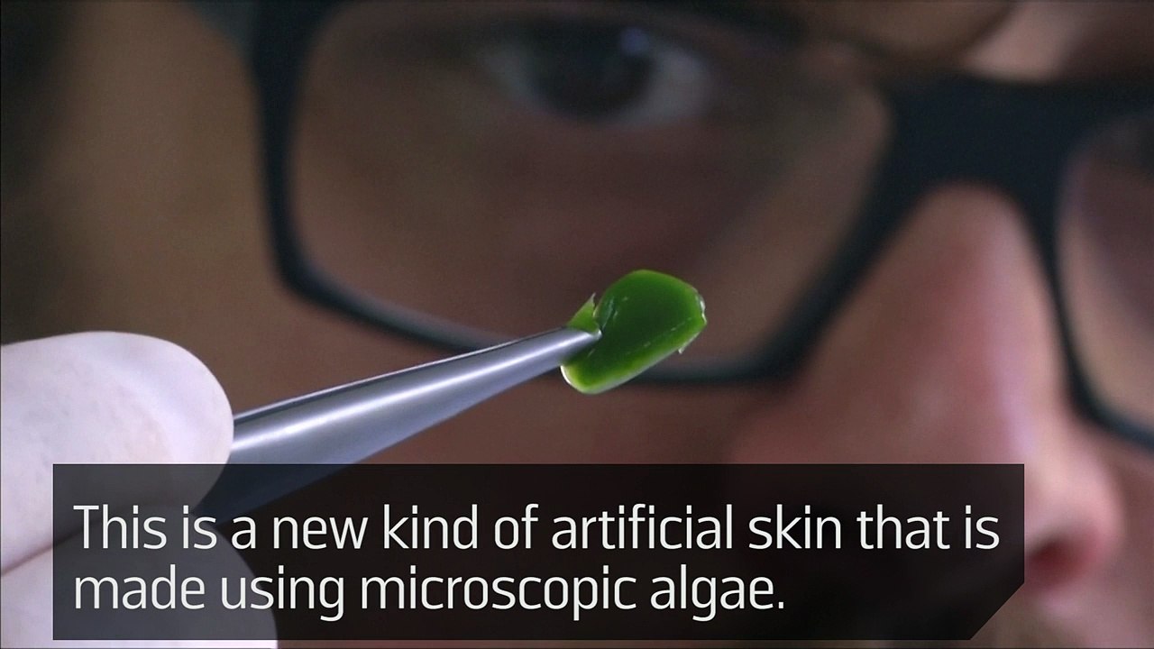 This Artificial Skin Is Made With Algae