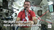 Protejamos el planeta con estos sencillos hábitos
