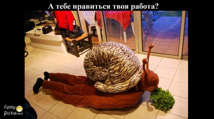 Приколы Лучшие Демотиваторы