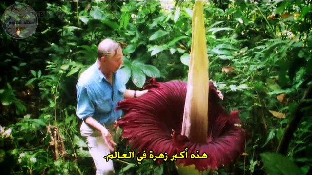 التنوع البيولوجي