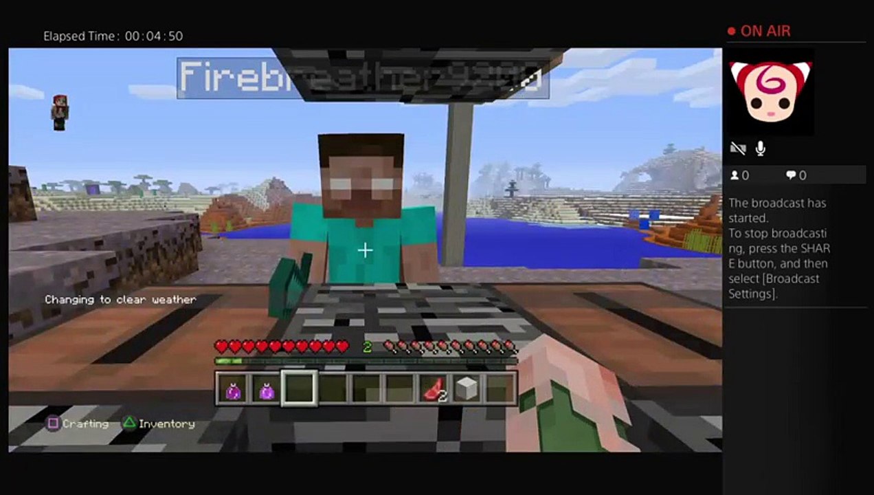 Minecraft (31)