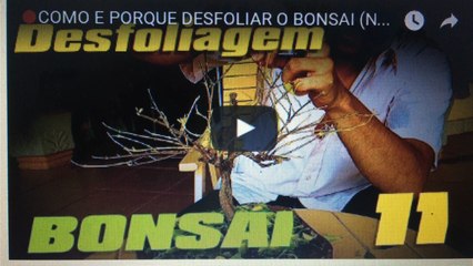 COMO E PORQUE DESFOLIAR O BONSAI (Noções e Demonstração)- BonsaiCurso #10