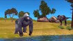 King Kong Vs Dinosaurs Death Fight Battle | Family Dinosaurs Vs King Kong Animal Rhymes For Kids