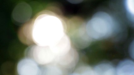 Kyle Uchitel Test Video: Shimmering In The Sun