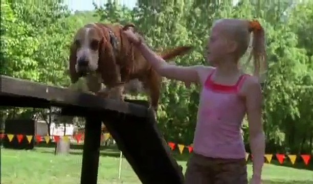 Ералаш новые серии! 241 выпуск О братьях наших меньших