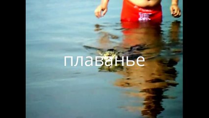 коты спортсмены #1