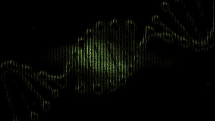 Melhor ator, oscar 2017