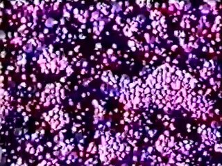 Yantra - James Whitney (1957)