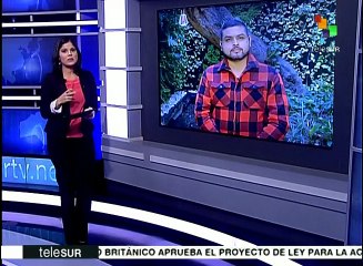 México: ante presión social, gob. "suavizaría" efectos del gasolinazo