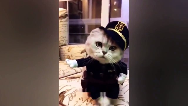 ЛУЧШИЕ ПРИКОЛЫ Подборка Приколов НОЯБРЬ 2016 Ржака Жесть Ржач Угар #5