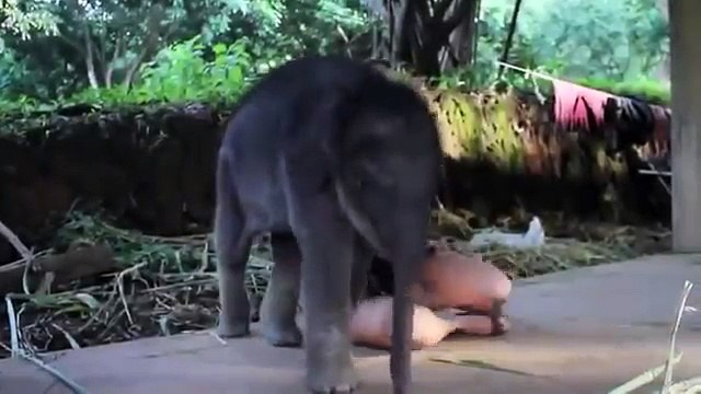 Такое проявление любви вы точно не видели