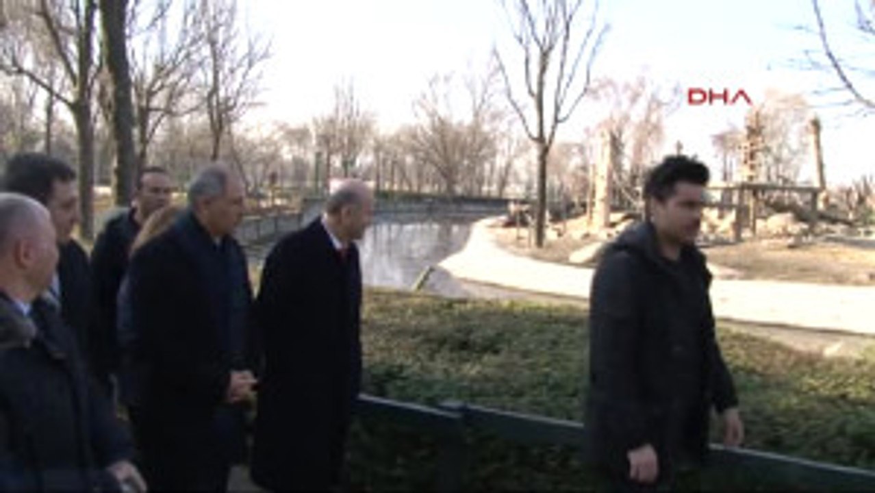 Bursa Hayvanat Bahçesine Penguen Geliyor