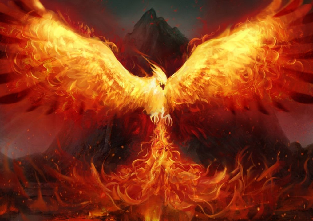 Like a Phoenix