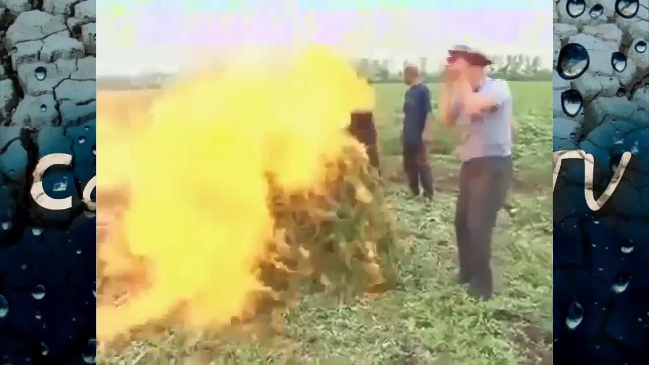 Взрослые Приколы ! Сборка самых смешных приколов 2017 Январь! Подборка приколов # 4