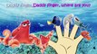 Twinkle twinkle little star nursery rhyme lyrics. THE BEST Nursery Rhymes for Children Emi TV Lyrics