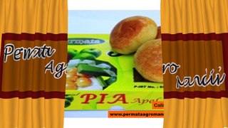 Call/WA 082-140-352-612 Pia Apple Australia, Pia Apple Murah, Pia Apple Merah,