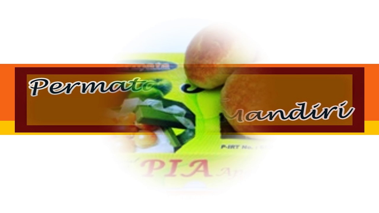 Call/WA 082-140-352-612 Pia Mini Apple Rome Beauty, Pia Mini Apple Manalagi, Jual Pia Apple,