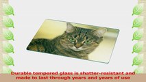 Rikki Knight Gorgeous Brown Cat with Green Eyes Large Glass Cutting Board 80257373