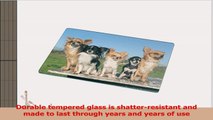 Rikki Knight RKLGCB17 Chihuahuas Dog Design Glass Cutting Board Large White e83c6559