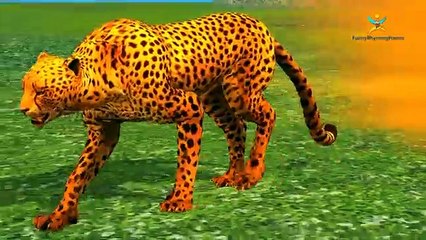 Learn colors with Cheetah | Animals 3d colors lesson for nursery children