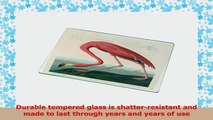 Rikki Knight RKLGCB3665 Audubon Art American Flamingo Plat 431 Glass Cutting Board Large 74927bf6