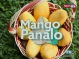 Good News: Mango Panalo!