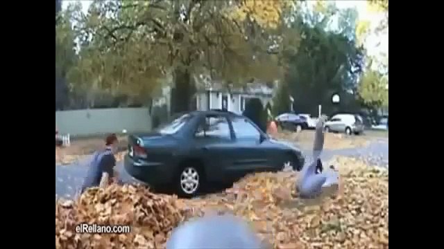 Лучшие ПРИКОЛЫ смотреть бесплатные видео приколы онлайн1