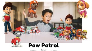 Paw Patrol pups and vehicles, Marshall, Chase, Zuma, Rocky, Rubble, Skye. Caleb  ToysReviews HD
