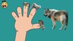Dance Songs | Wolf Cartoon Finger Family Rhymes | Finger Family Rhymes Collection