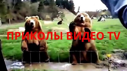 Приколы.Девушка отпусти ручник на автомобиле