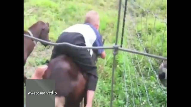 Funny Vedio Goat Funny Animal Clips Funny Dog Vedio Goat And Dog Best Funny Clip With Human