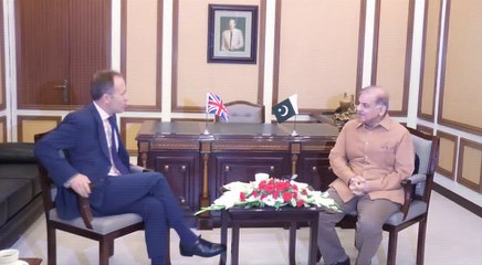 CM Punjab meeting with British High Commissioner may 13 16