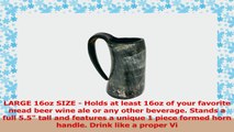 AleHorn Large Handmade Game of Thrones style Drinking Horn b91fa9a2