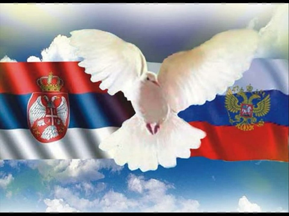 Srpske pesme - beli golub