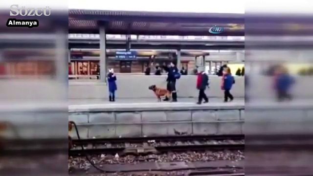 Polis köpeği faciaya neden oluyordu