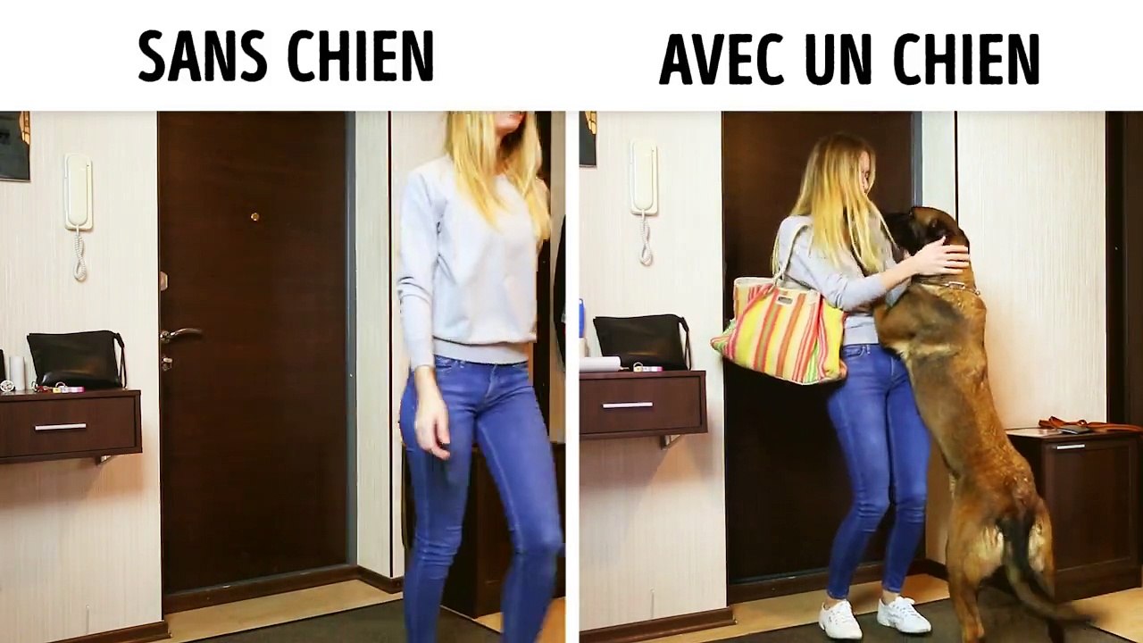 Vivre avec un chien VS Vivre sans chien...