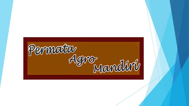 Call/WA 082-140-352-612 Pia Apple Surabaya, Pia Apple Palembang, Pia Apple Makassar,