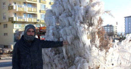 Kilis'te Sulama Boruları Patladı, Ağaçlar Buz Tuttu