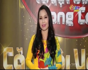 Ca Sĩ Cẩm Ly,Nhạc Sĩ Minh Vy,Ca Sĩ Đàm Vĩnh Hưng,..Chúc Tết Đinh Dậu