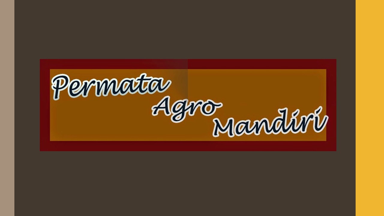 Call/WA 082-140-352-612 Pia Mini Apple Rome Beauty, Jual Pia Apple, Pia Mini Apple Manalagi,