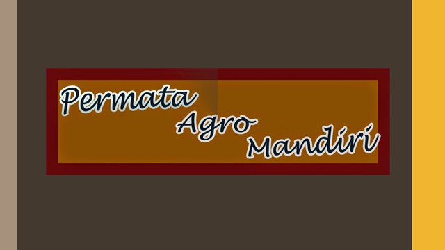 Call/WA 082-140-352-612 Pia Mini Apple Rome Beauty, Jual Pia Apple, Pia Mini Apple Manalagi,